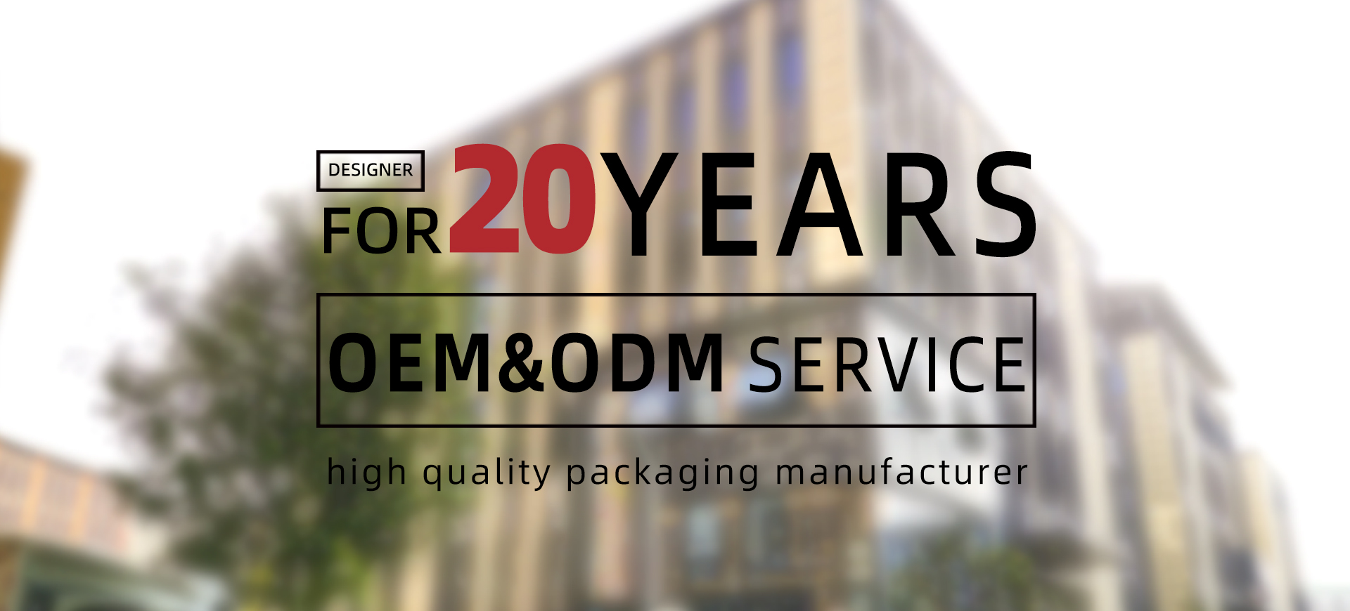 Customization Process